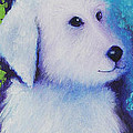 Gus Monet